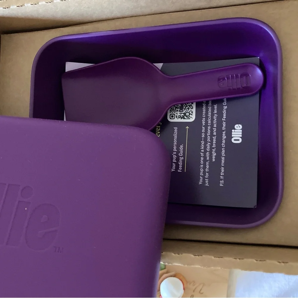 Ollie purple bamboo fiber & Silicone food Case